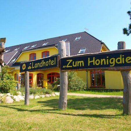 Landhotel Zum Honigdieb 里布尼茨达姆加滕 外观 照片